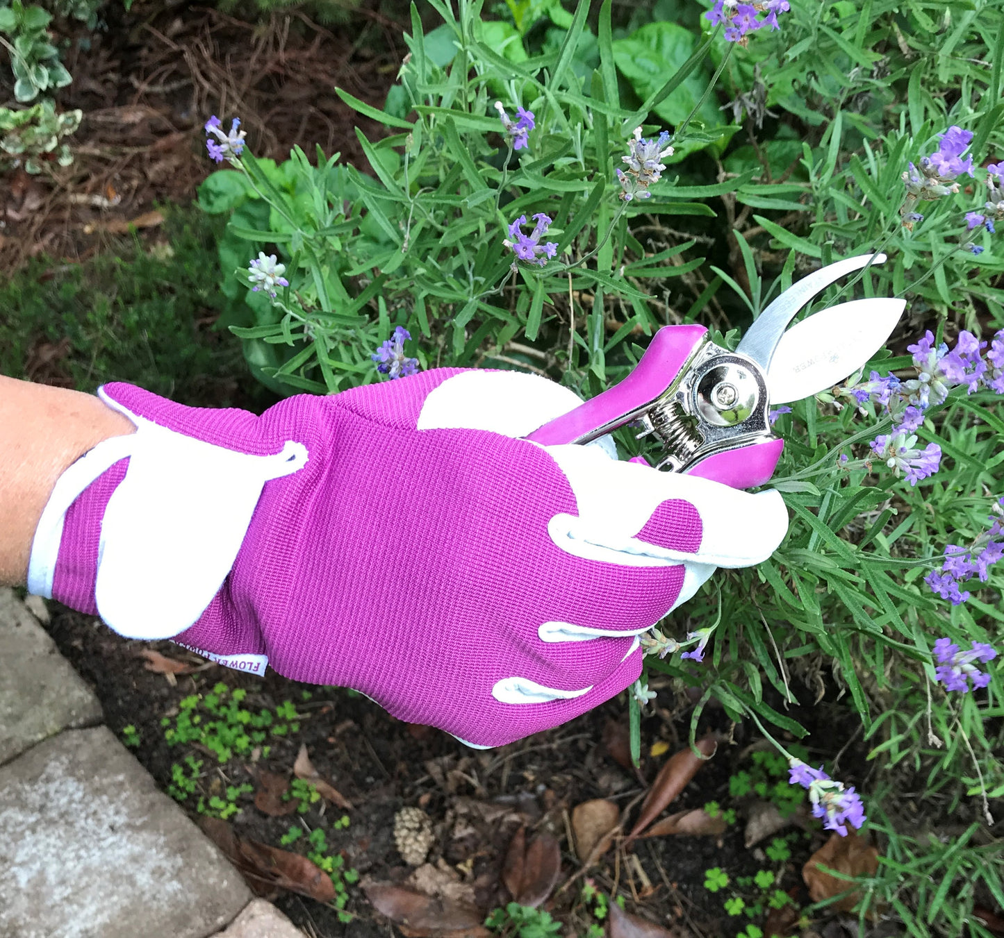 Ladies Leather Gardening Glove & Secateurs Gift Set – Pink or Purple