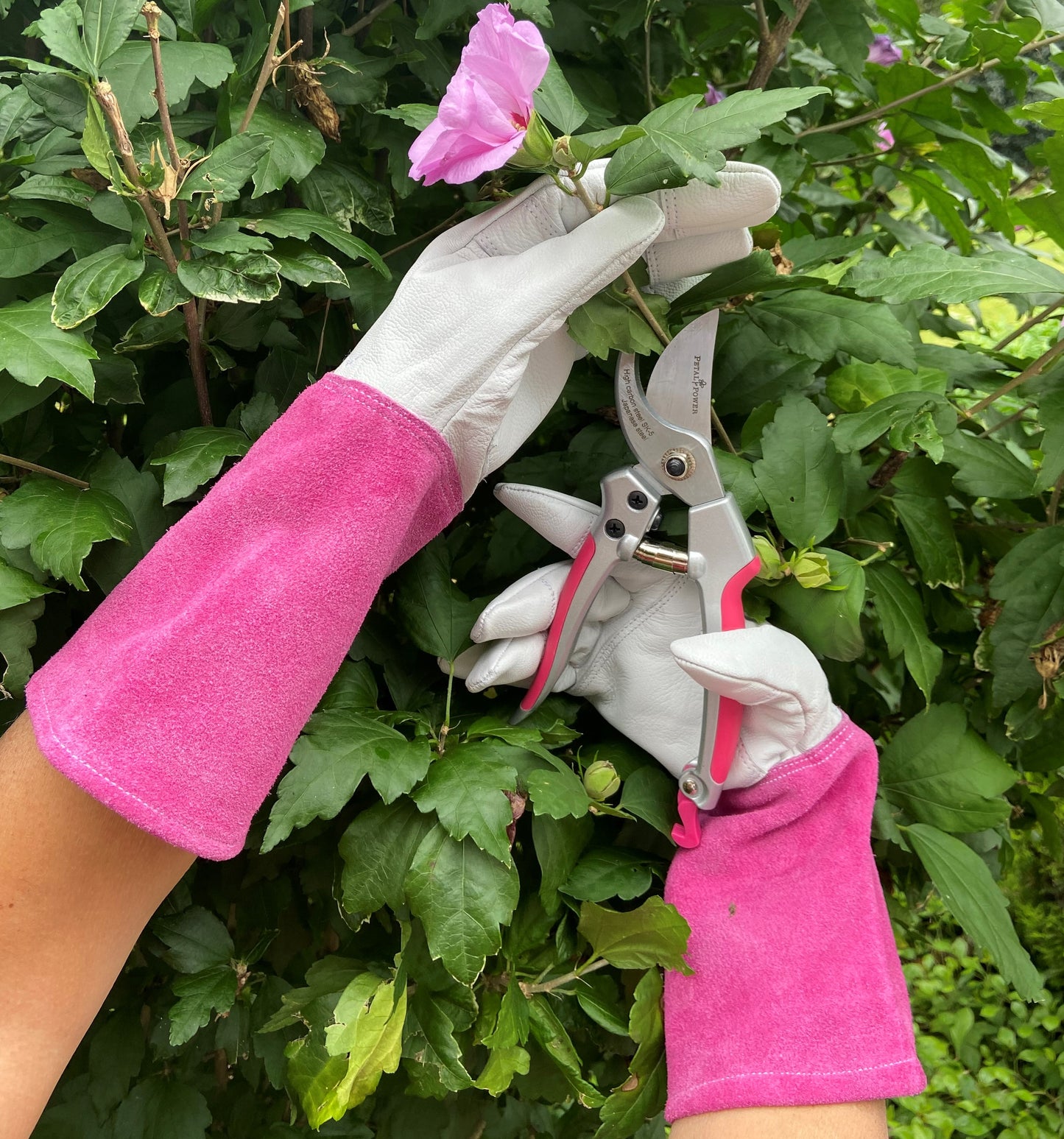 Petal Power Ladies Garden Secateurs - Premier Deluxe Quality Razor Sharp Gardening Pruners