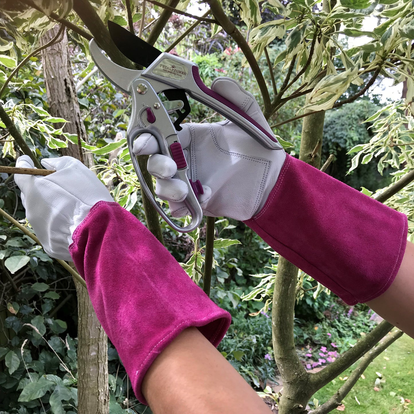 Petal Power Ladies Advanced 2-in-1 Ratchet Pruner Secateurs - 5 X Power Gardening Secateurs