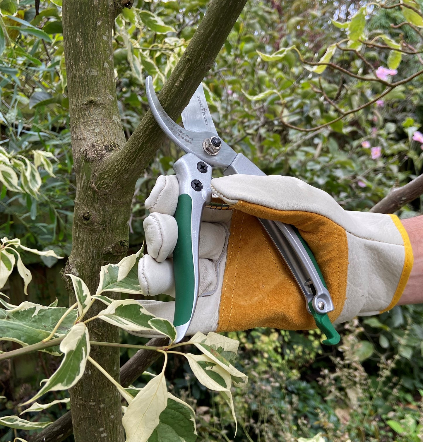 Heavy Duty Deluxe 8" Bypass Garden Secateurs with Razor Sharp SK-5 Steel Blades