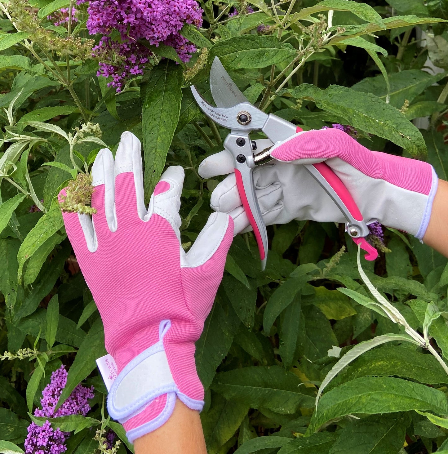 Petal Power Ladies Garden Secateurs - Premier Deluxe Quality Razor Sharp Gardening Pruners