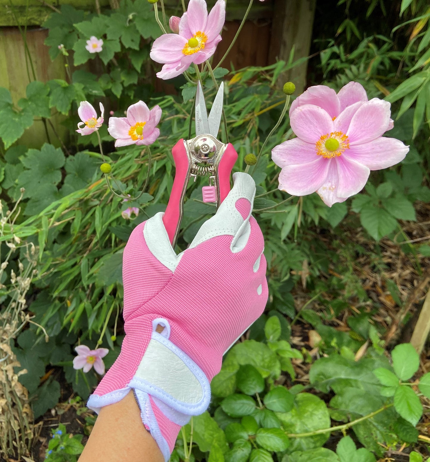 Ladies Leather Gardening Glove & Secateurs Gift Set – Pink or Purple