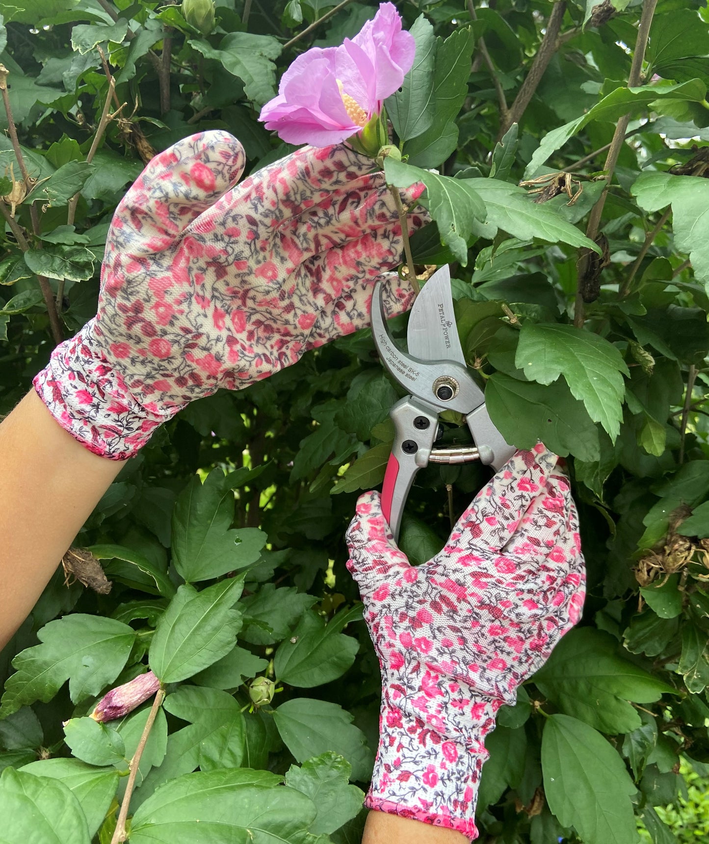 Petal Power Ladies Garden Secateurs - Premier Deluxe Quality Razor Sharp Gardening Pruners