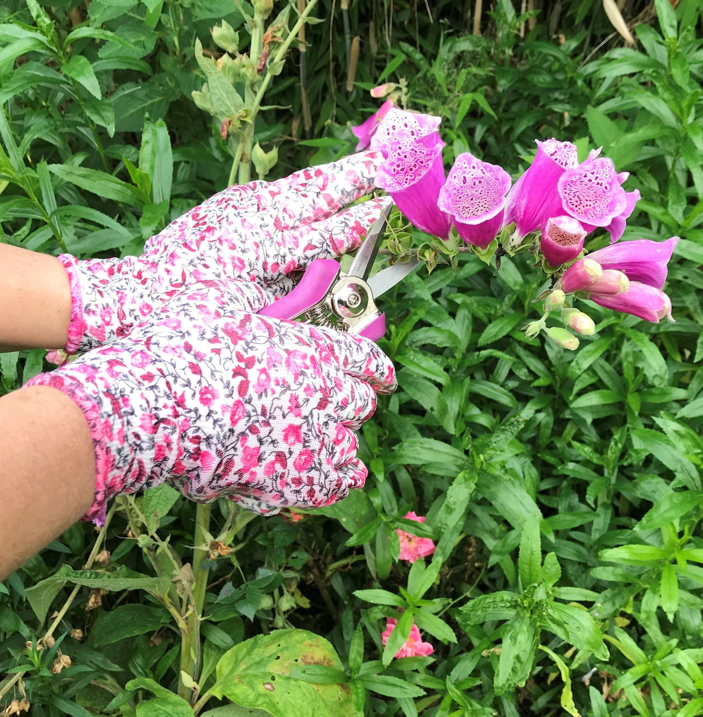 Petal Power Ladies Garden Gloves (2 pairs) & Mini Pruner Secateurs Set - Perfect Ladies Garden Gift